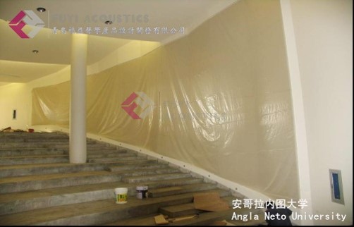 安哥拉内图大学